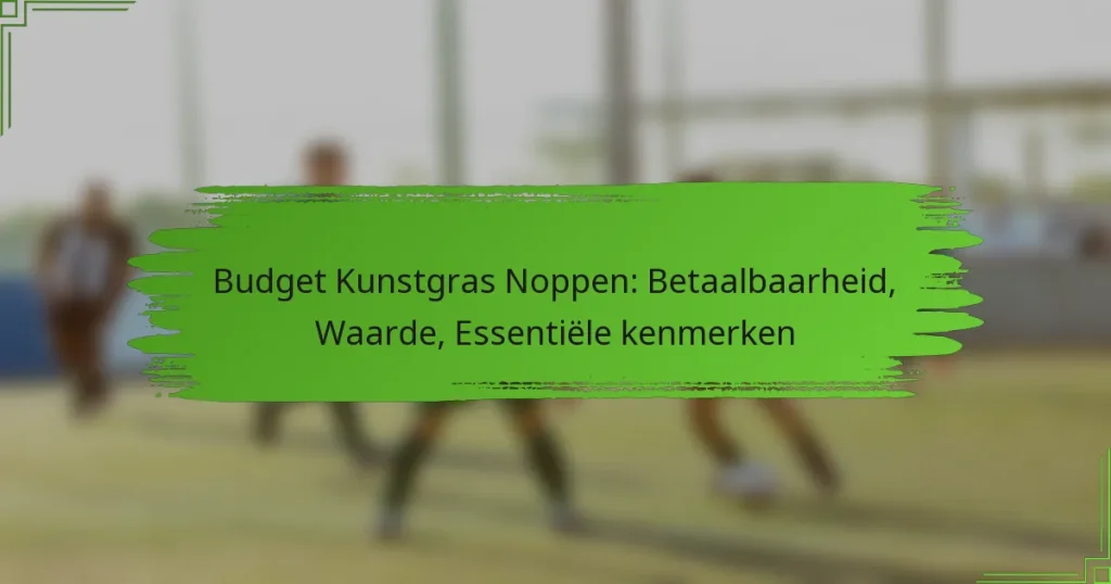 Budget Kunstgras Noppen: Betaalbaarheid, Waarde, Essentiële kenmerken