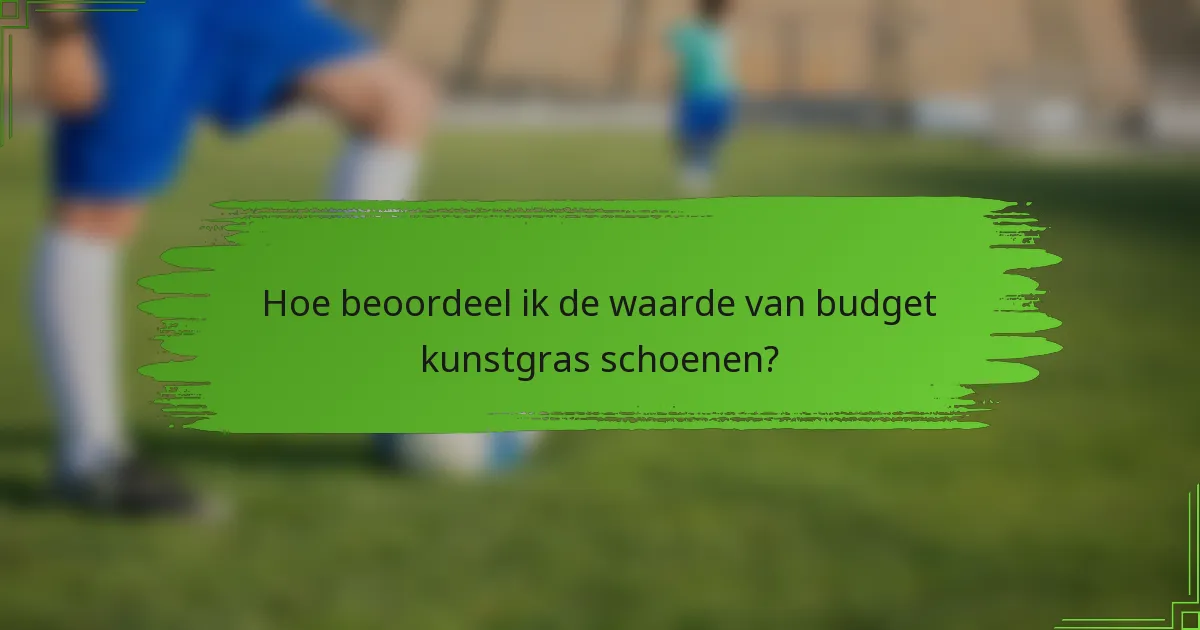 Hoe beoordeel ik de waarde van budget kunstgras schoenen?