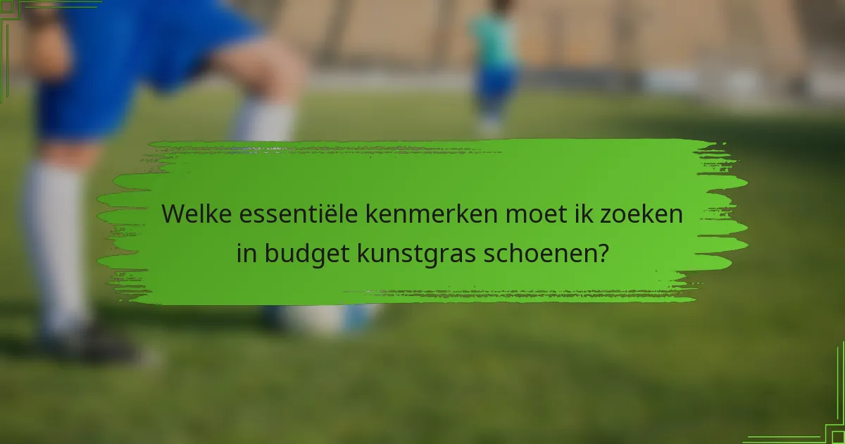 Welke essentiële kenmerken moet ik zoeken in budget kunstgras schoenen?