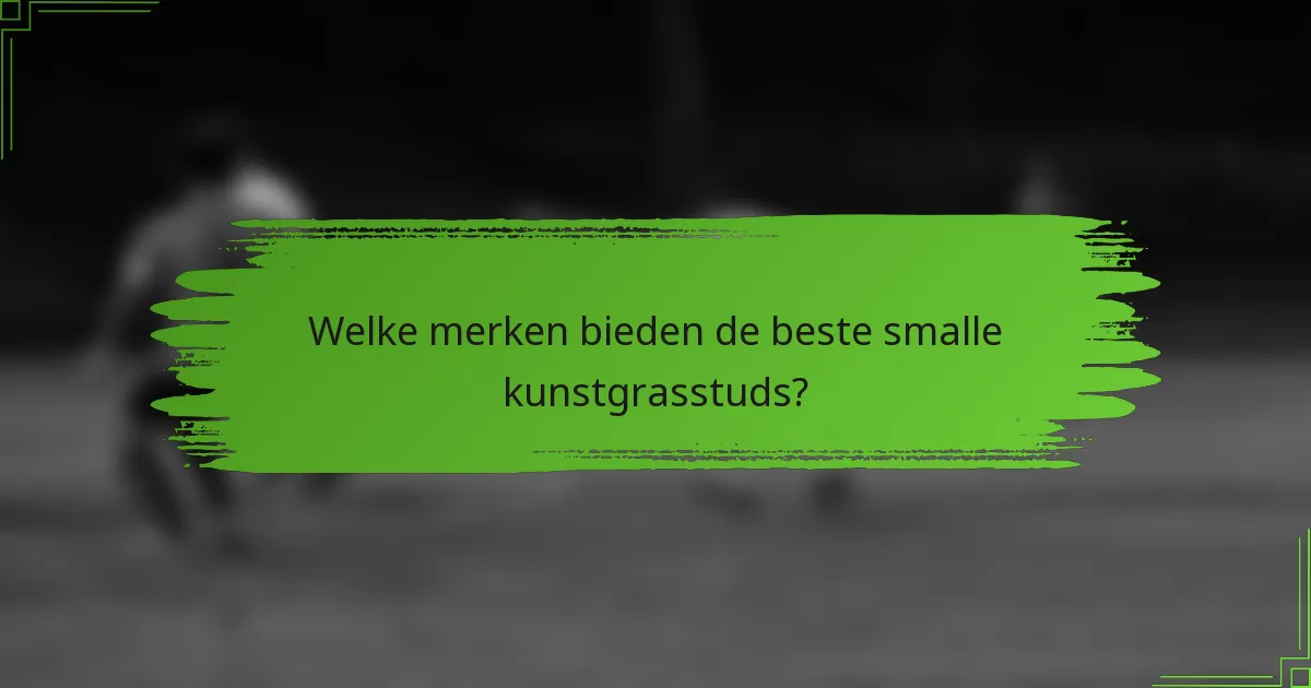 Welke merken bieden de beste smalle kunstgrasstuds?