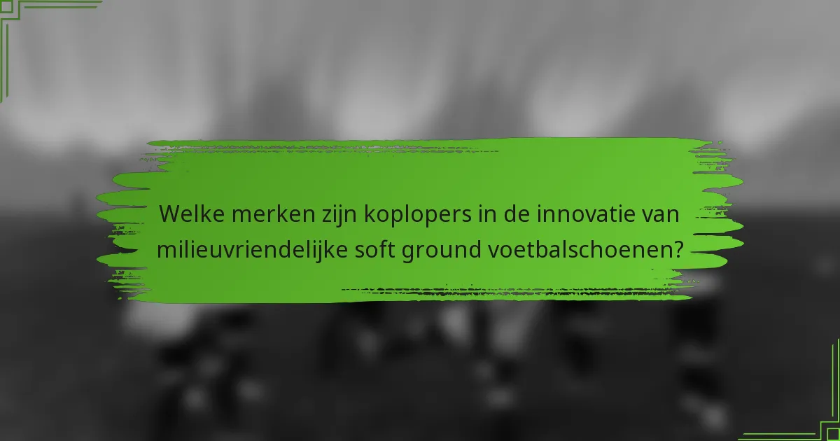 Welke merken zijn koplopers in de innovatie van milieuvriendelijke soft ground voetbalschoenen?